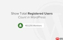 如何在 WordPress 中显示注册用户总数