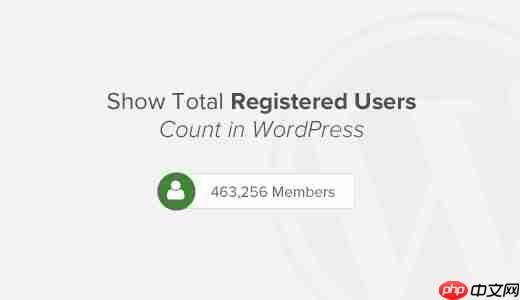 如何在 WordPress 中显示注册用户总数