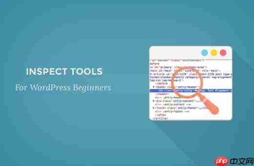 Inspect Element 基础知识：为 DIY 用户定制 WordPress