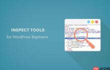 Inspect Element 基础知识：为 DIY 用户定制 WordPress