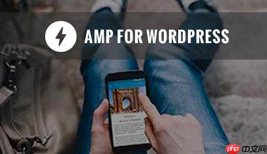 如何在您的 WordPress 网站上正确设置 Google AMP