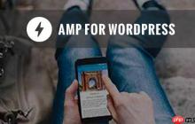 如何在您的 WordPress 网站上正确设置 Google AMP