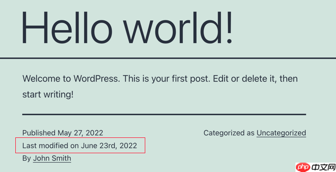 如何在 WordPress 中显示帖子的最后更新日期