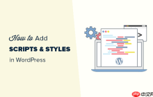 如何在 WordPress 中正确添加 JavaScript 和样式