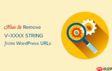 如何从 WordPress URL 中删除 v=XXXX 字符串