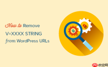 如何从 WordPress URL 中删除 v=XXXX 字符串