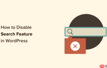 如何禁用 WordPress 中的搜索功能（简单易行）