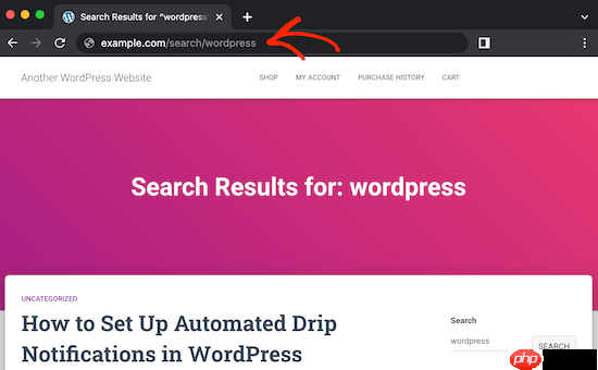 如何更改 WordPress 中的默认搜索 URL Slug