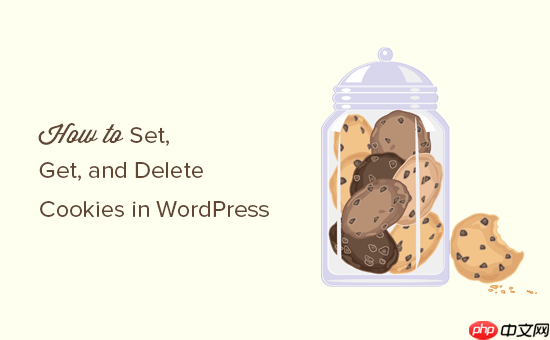 如何设置、获取和删除 WordPress Cookie（像专业人士一样）