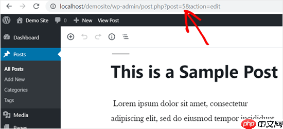如何在 WordPress 页面或帖子中轻松添加 JavaScript（2 种方法）