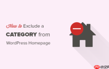 如何从 WordPress 主页中排除某个类别