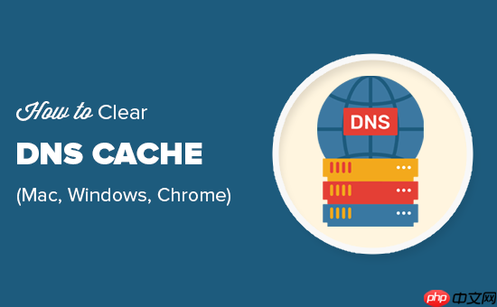 如何清除 DNS 缓存（Mac、Windows、Chrome）