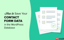 如何在 WordPress 数据库中保存联系表单数据