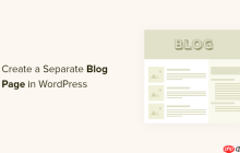 如何在 WordPress 中为博客文章创建单独的页面