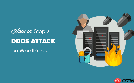 如何阻止和防止 WordPress 上的 DDoS 攻击