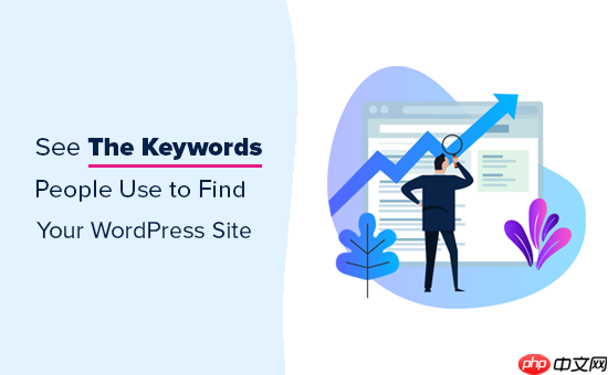 如何查看人们用来查找您的 WordPress 网站的关键字