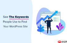 如何查看人们用来查找您的 WordPress 网站的关键字