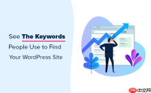如何查看人们用来查找您的 WordPress 网站的关键字