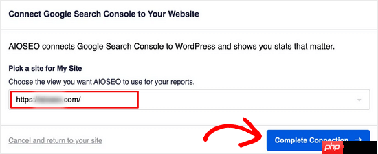 如何查看人们用来查找您的 WordPress 网站的关键字
