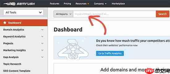 如何查看人们用来查找您的 WordPress 网站的关键字