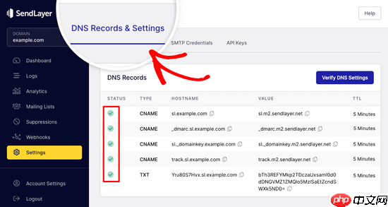 如何解决 WordPress 不发送电子邮件的问题