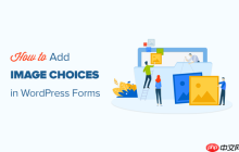 如何在 WordPress 表单中添加图像选择（提高参与度）