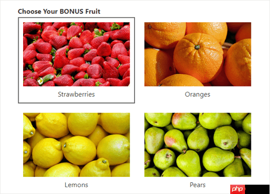 如何在 WordPress 表单中添加图像选择(提高参与度)