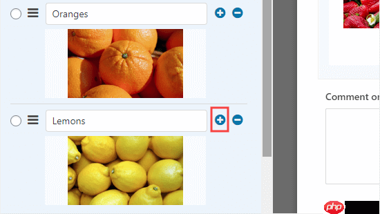 如何在 WordPress 表单中添加图像选择(提高参与度)