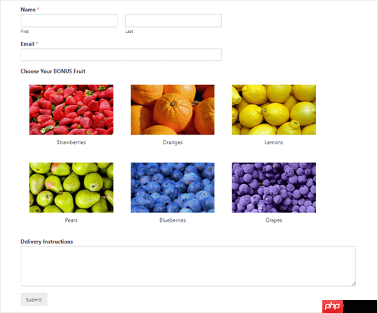 如何在 WordPress 表单中添加图像选择(提高参与度)