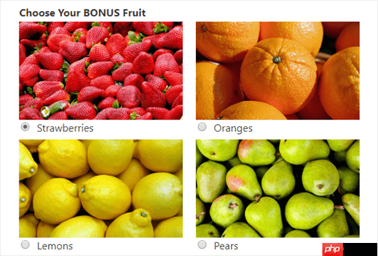 如何在 WordPress 表单中添加图像选择(提高参与度)