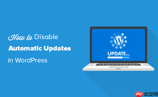 如何禁用 WordPress 中的自动更新