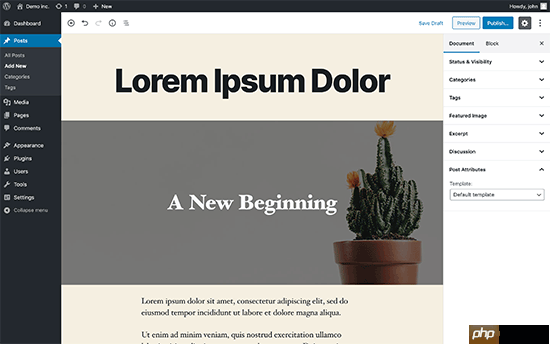 如何在 WordPress 中禁用全屏编辑器