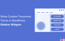 如何在 WordPress 侧边栏小部件中显示自定义分类术语