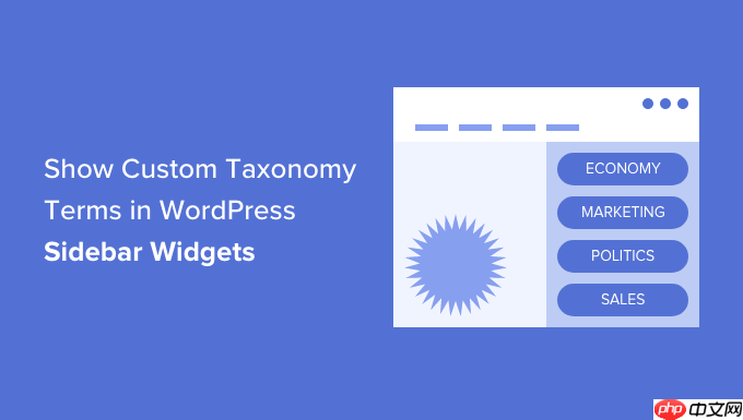 如何在 WordPress 侧边栏小部件中显示自定义分类术语