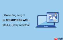 如何使用媒体库助手在 WordPress 中标记图像