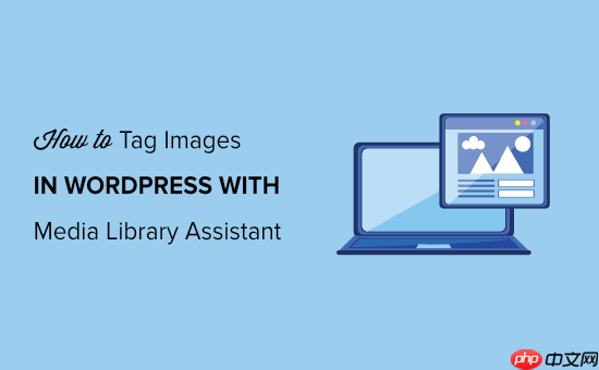 如何使用媒体库助手在 WordPress 中标记图像