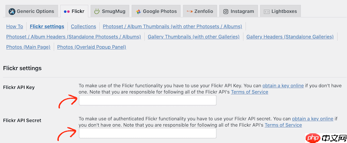 如何在 WordPress 中添加 Flickr 小部件
