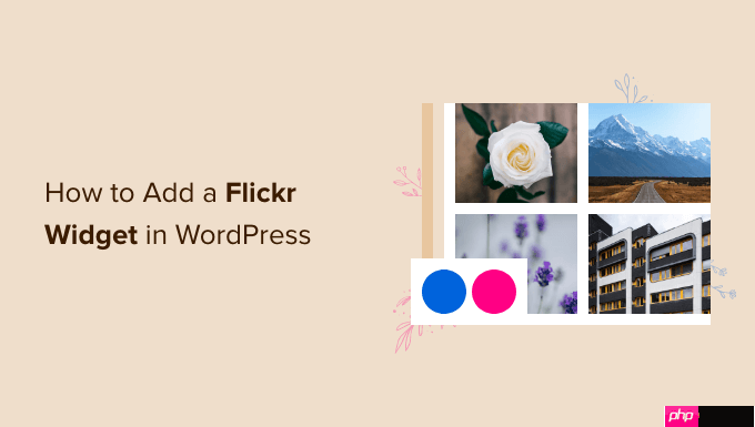 如何在 WordPress 中添加 Flickr 小部件