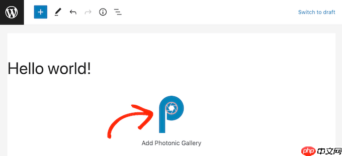 如何在 WordPress 中添加 Flickr 小部件