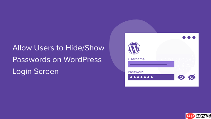 如何允许用户在 WordPress 登录屏幕上隐藏/显示密码