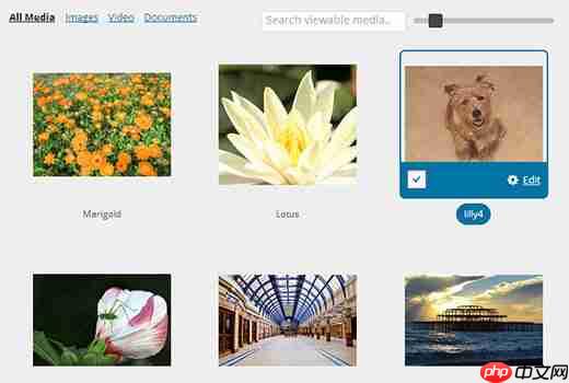 如何在 WordPress 中为媒体库添加网格视图