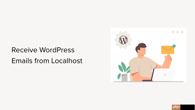 如何使用 SMTP 从本地主机接收 WordPress 电子邮件