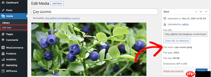 如何在 WordPress 中强制使用干净的图像文件名