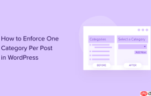 如何在 WordPress 中为每个帖子强制执行一个类别