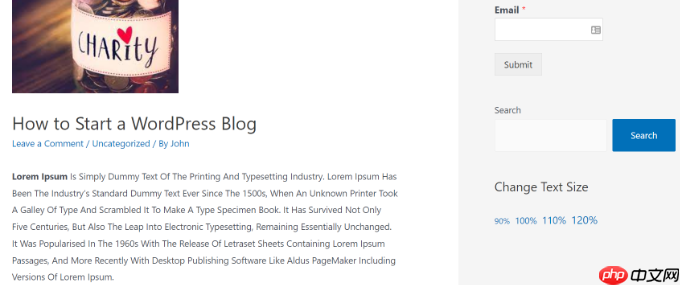 如何在 WordPress 中添加字体调整器以实现辅助功能