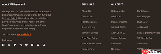 如何在列中显示 WordPress 小部件