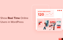 如何在 WordPress 中显示实时在线用户