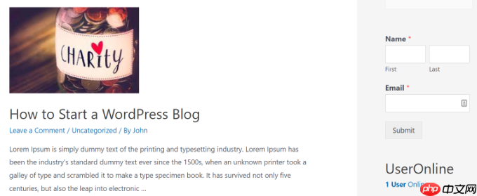 如何在 WordPress 中显示实时在线用户