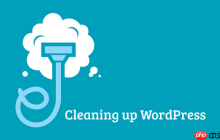 如何清理 WordPress 数据库以提高性能