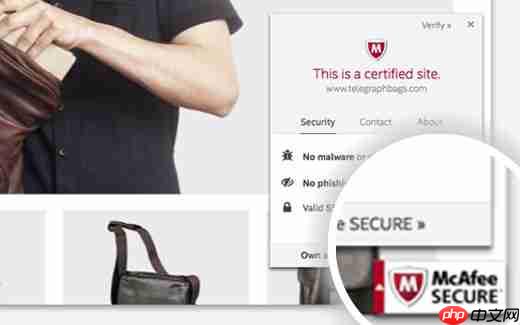 如何将 McAfee SECURE Seal 免费添加到您的 WordPress 网站